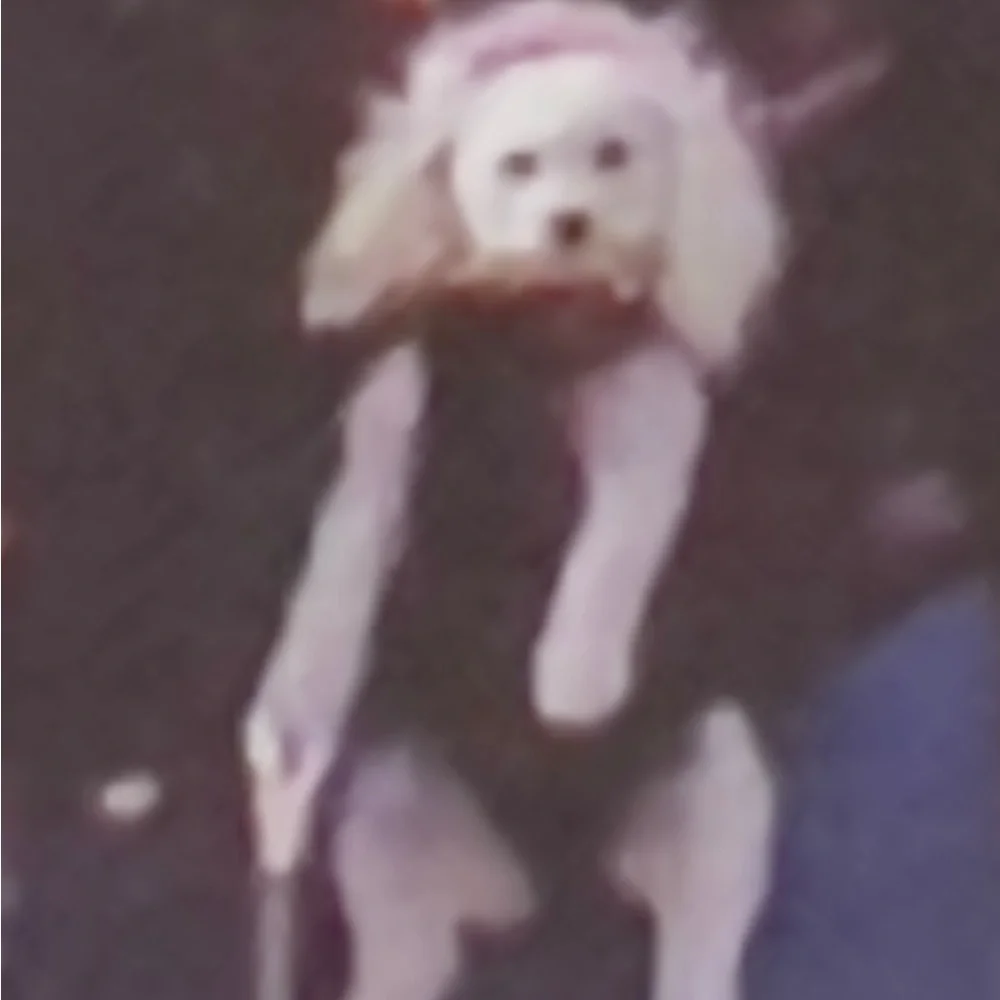 Daba Doo Pet Carrier